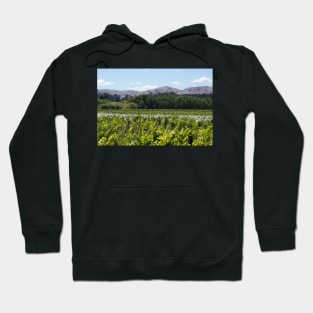 the vines Hoodie